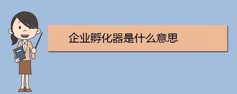 孵化器是什么意思