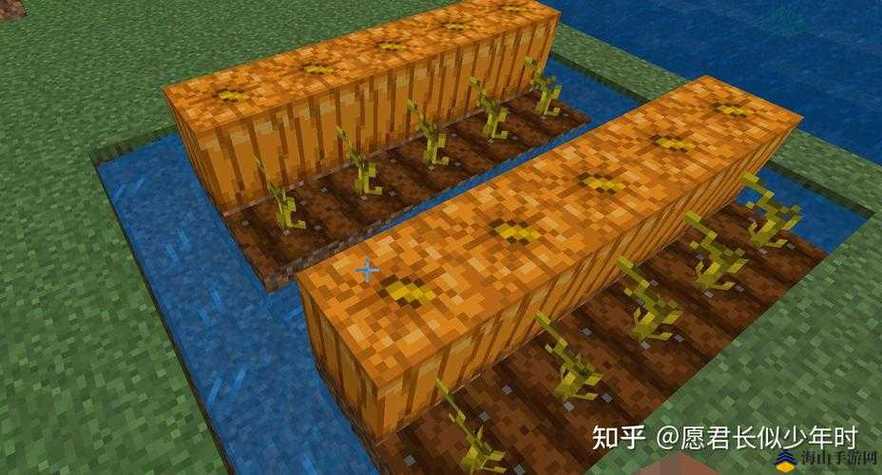 我的世界如何种植农作物