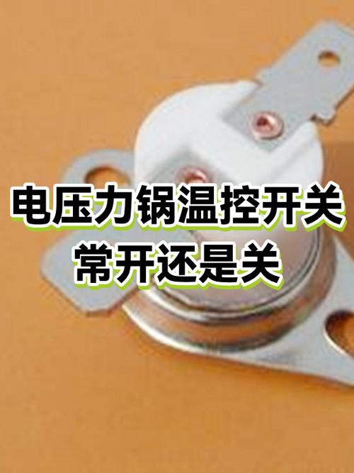 电压力锅温控器故障 电压力锅温控器故障