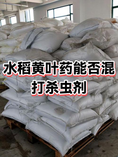 水稻黄叶病的特效药