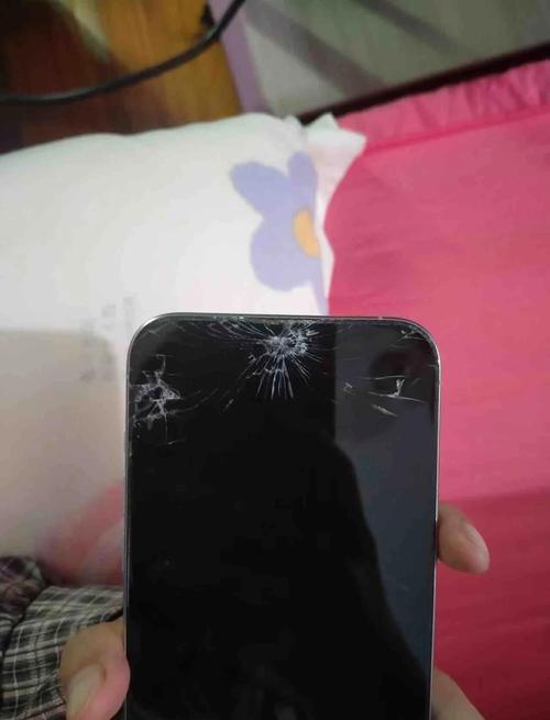 iphonex摄像头摔黑屏了