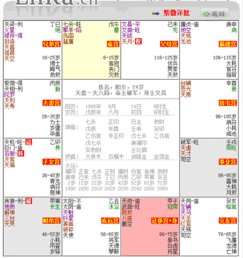 紫微星盘免费测试