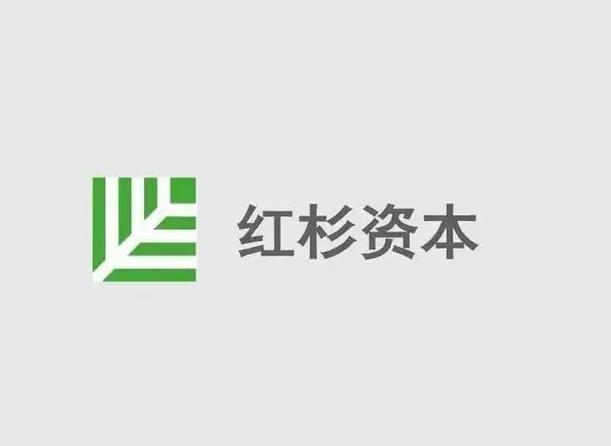 红杉资本投资的公司
