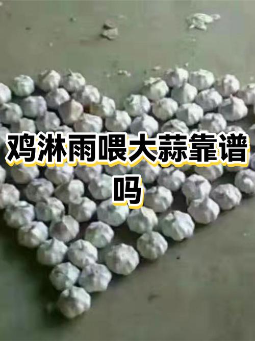 蒜粒社靠谱吗