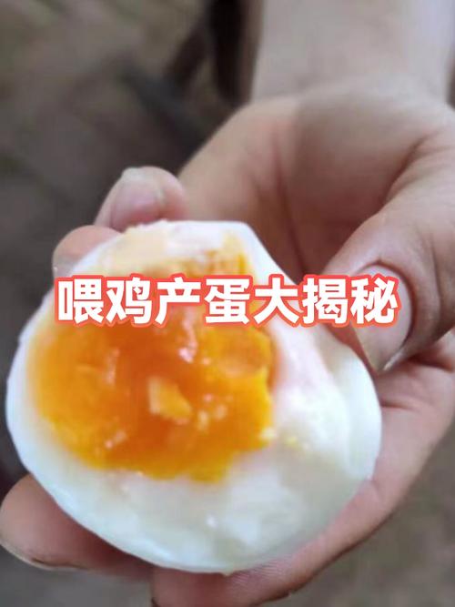 喂鸡生蛋的游戏叫什么名字