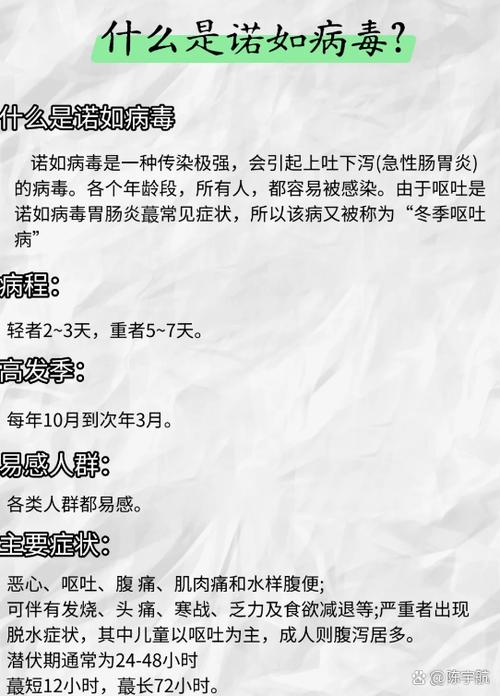 诺如病毒作文500字