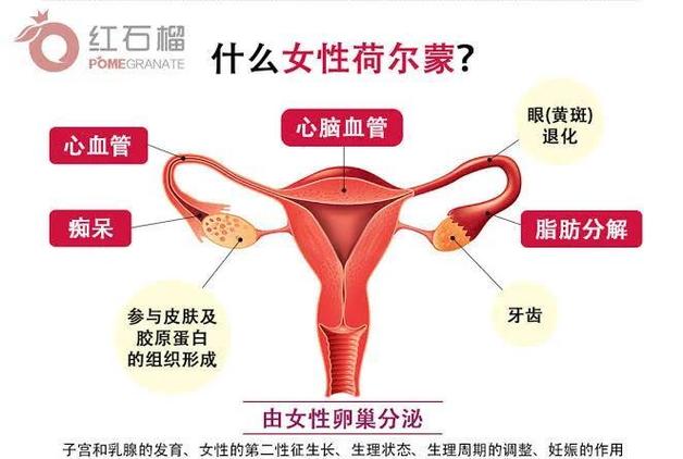 激发女性荷尔蒙的好处