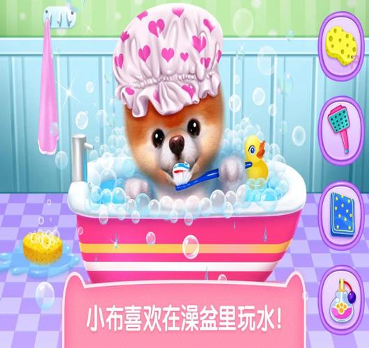 小布破解版截图2