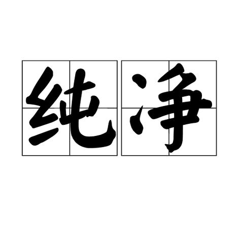 纯净优化是什么意思