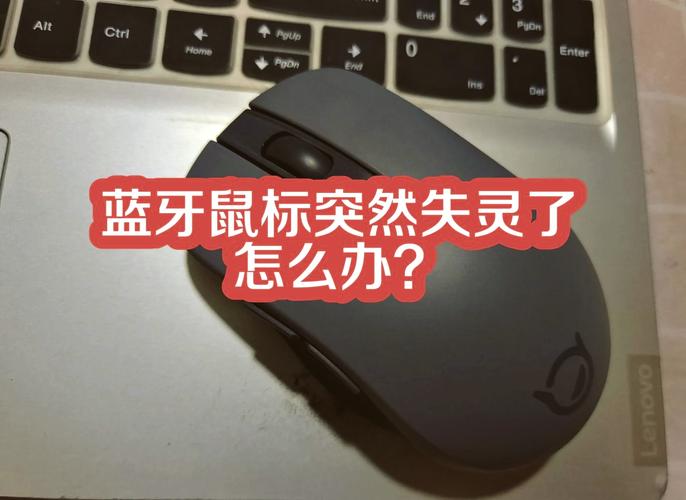 鼠标变圆圈 什么都干不了截图2