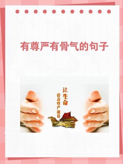 宁愿有别有聚有人恨被锁章节