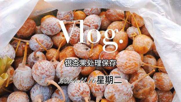 银杏果的制作视频截图3