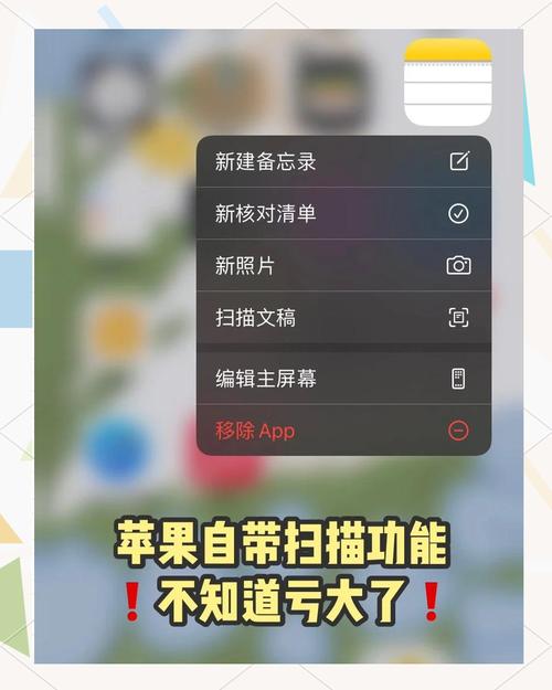 苹果11扫一扫在哪里