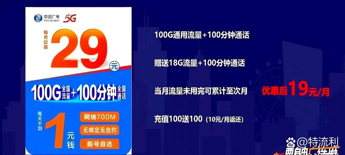 29元100g纯流量卡
