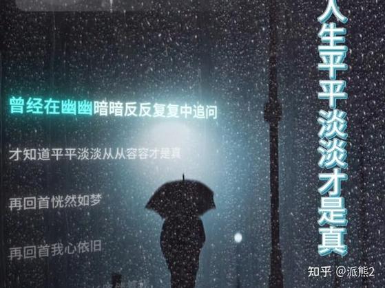 平平淡淡一般指什么人