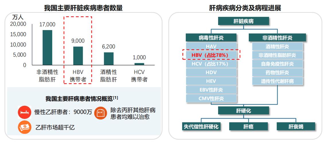 乙肝最大网站