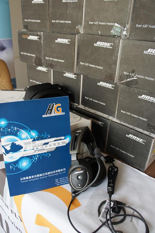 BOSE A20