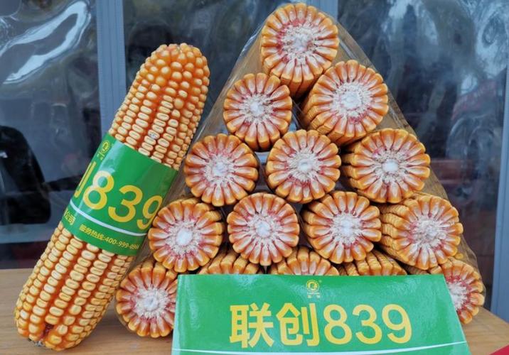 联创832和839哪个好