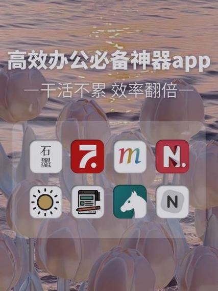 石墨app官方正版