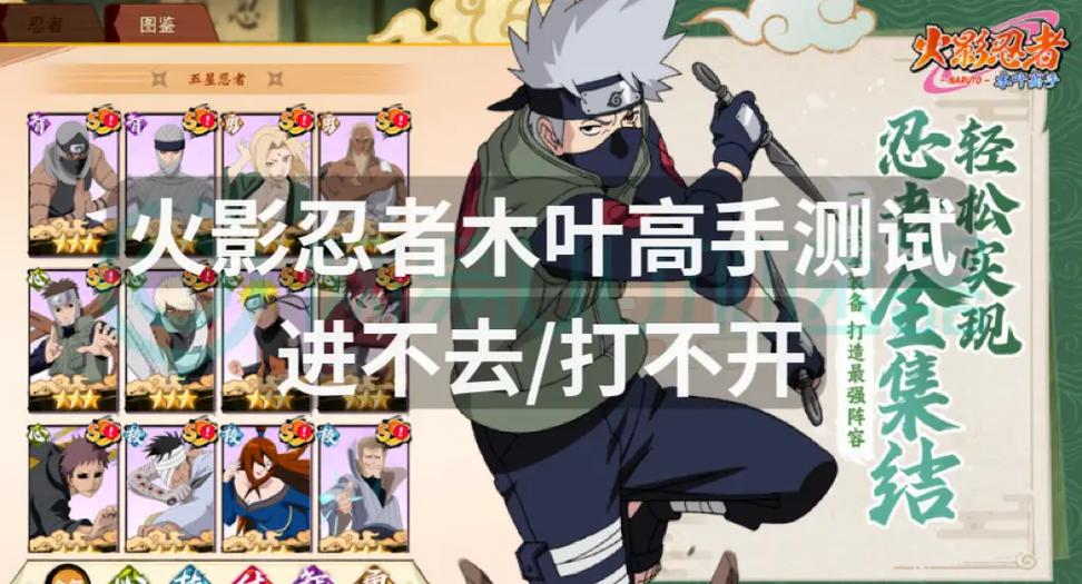 火影忍者进不去
