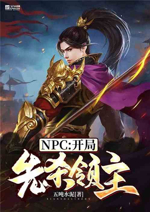 有穿越NPC我开局杀领主的小说