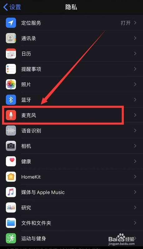 苹果手机麦克风模式在哪里