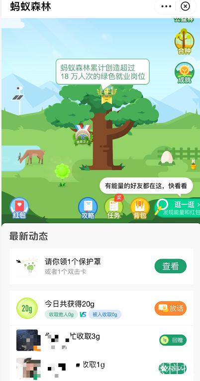 支付宝种树群