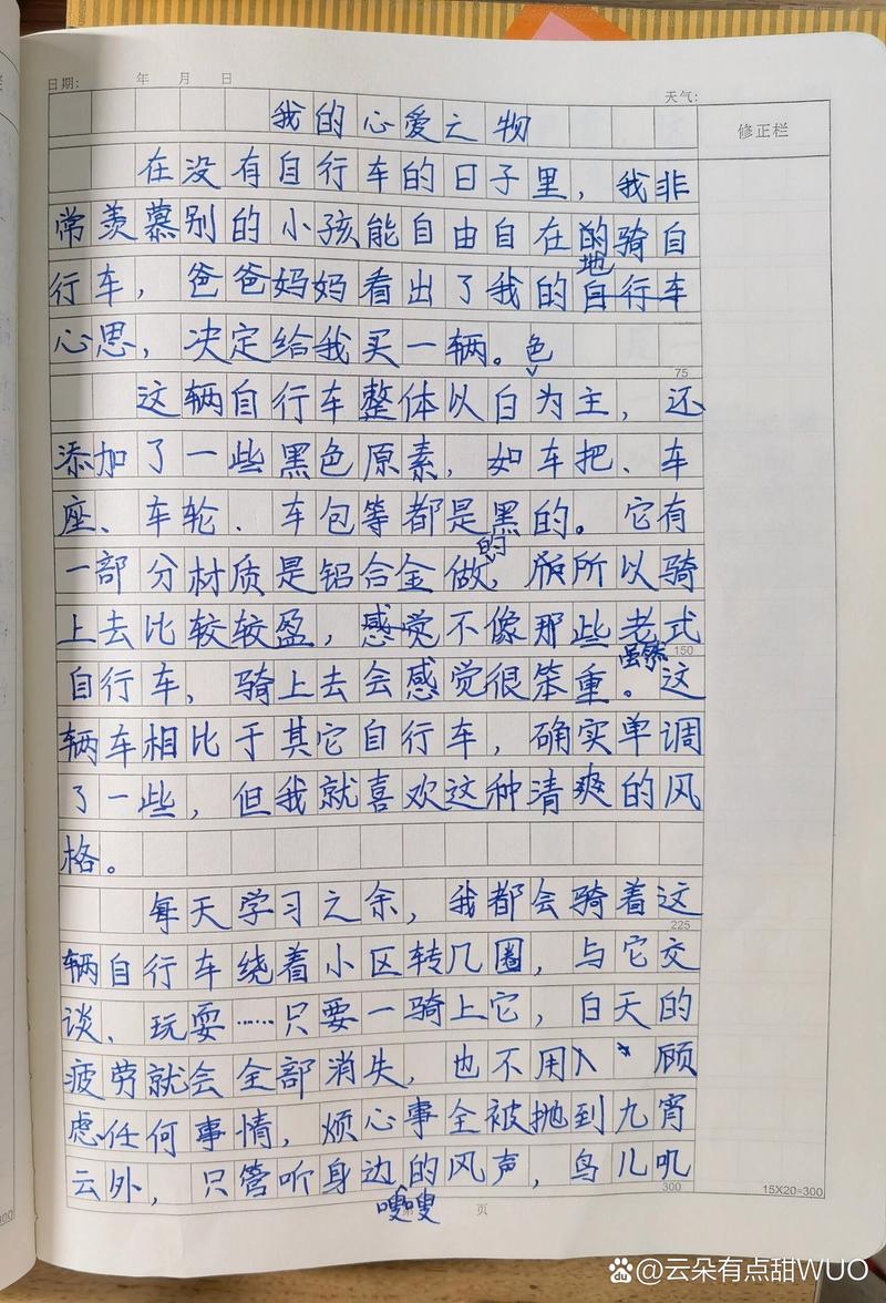 骑自行车作文300字