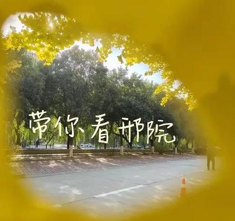 邢台学院算好二本吗截图2