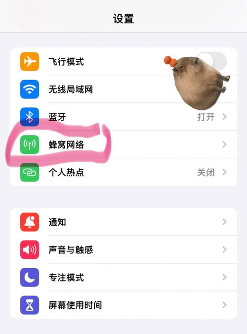 苹果怎么关掉流量限速