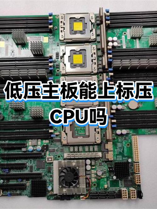 低压cpu只能用低压内存吗