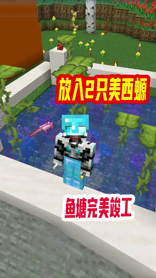 美西螈如何繁殖我的世界