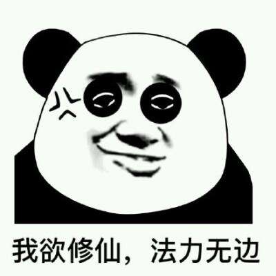 梦里有人教我修仙
