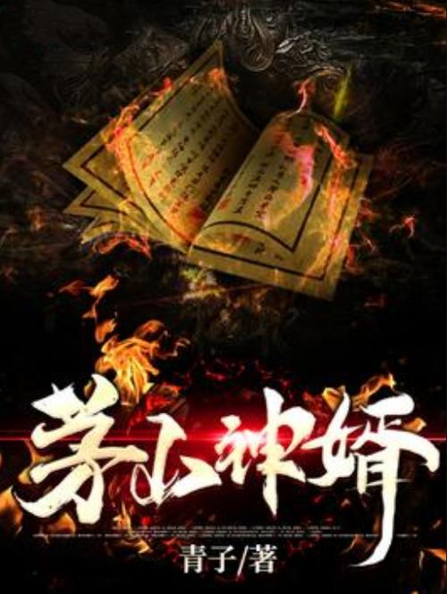 茅山神婿免费阅读