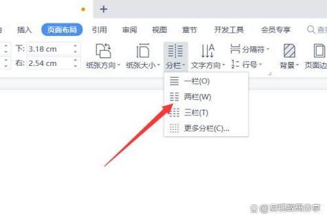 wps分栏双页码