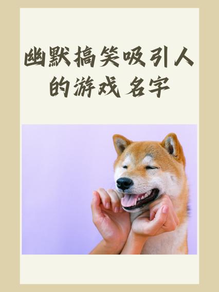 幽默二人组合名字