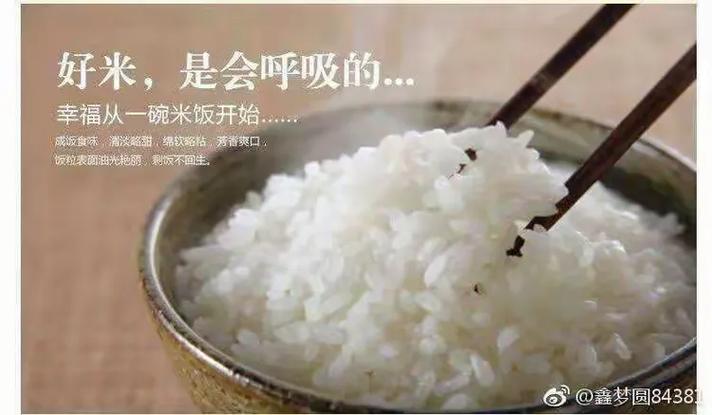 大米开门截图3