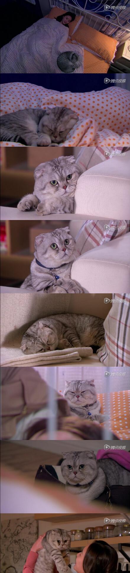 咪呀最新版本
