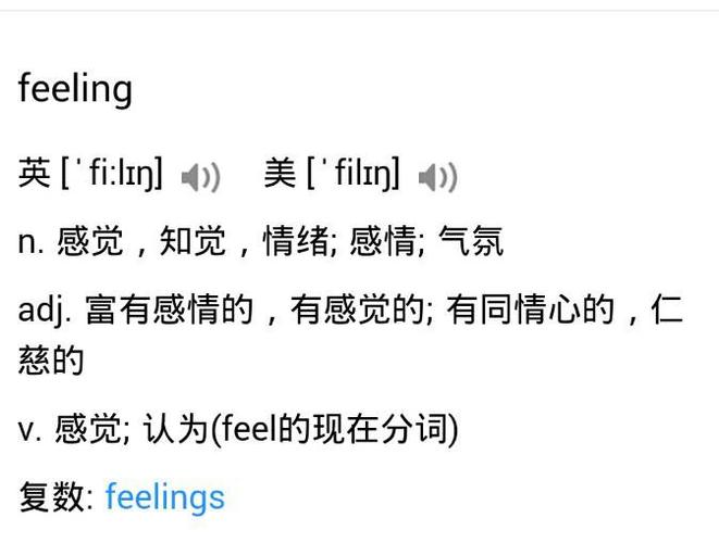 feelings的意思