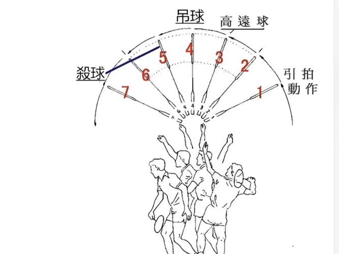羽毛球十大最强杀招截图2