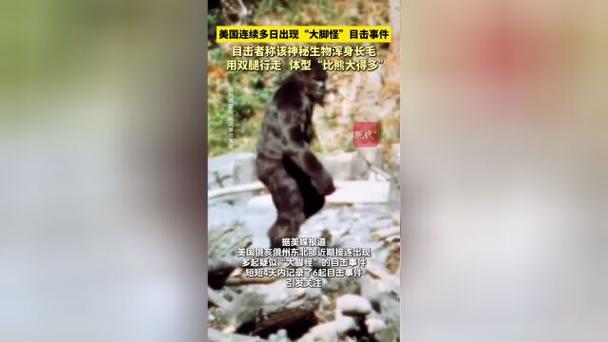 美国大脚怪真的存在吗