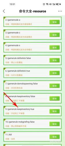 死亡不掉落电脑版指令