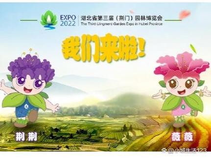 迎八方来客的典故截图3