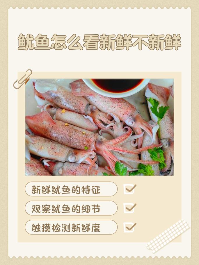鱿鱼是补肾还是伤肾