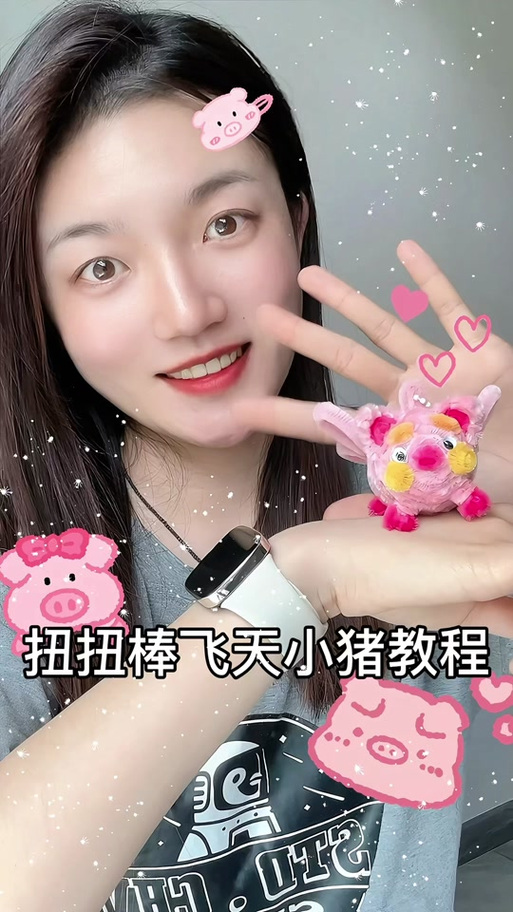 抖音小飞猪