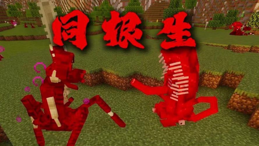 我的世界觉悟血肉vs