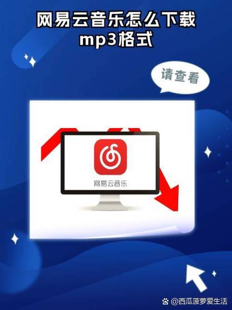 网易云音乐分成比例截图2