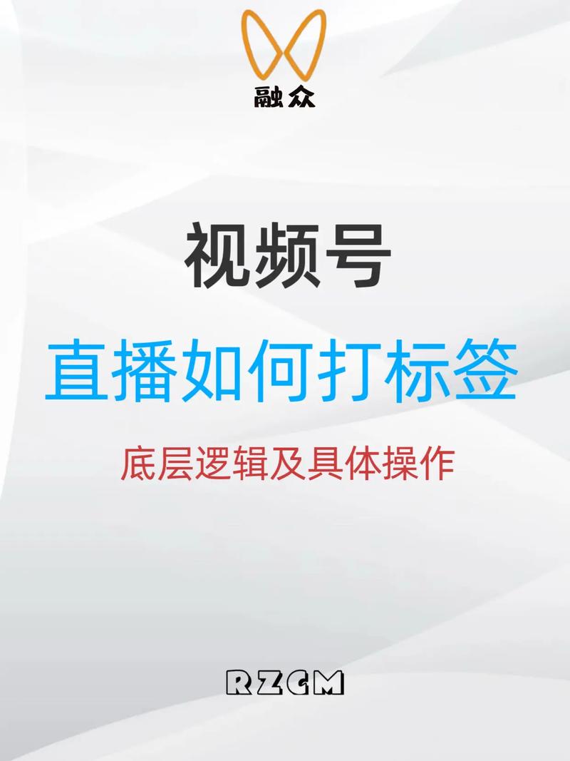 video标签视频