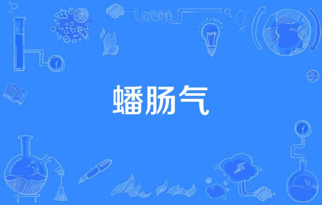 肠气