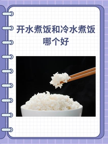 凉水下米和开水下米哪个正确